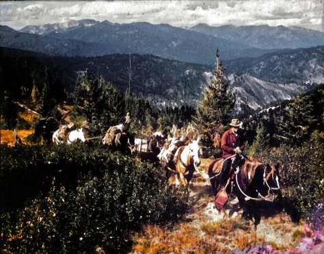 mule train with clouds